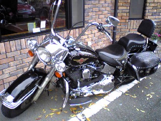 a0099129_214753100.jpg