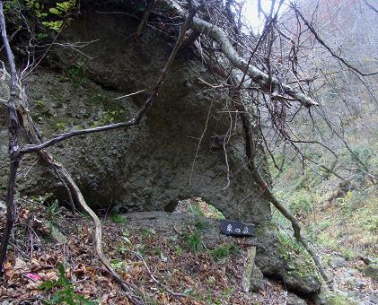 f0118332_041750.jpg