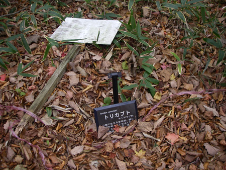 e0008833_10171561.jpg