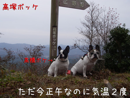 e0008833_10175772.jpg