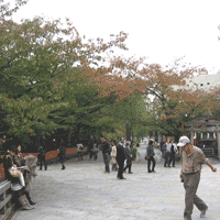 d0033734_16334510.gif