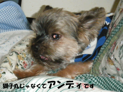 f0008935_11112068.gif