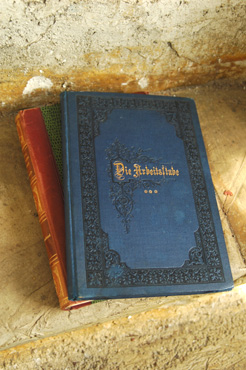 f0029536_219830.jpg