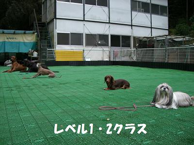 f0186040_1153638.jpg