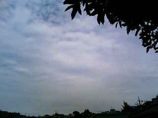 e0150843_17291597.jpg