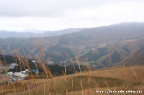 f0039446_19271367.jpg