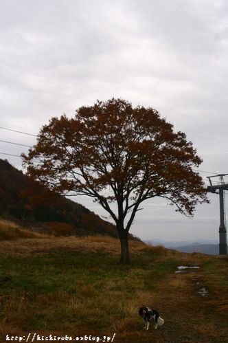 f0039446_1927259.jpg
