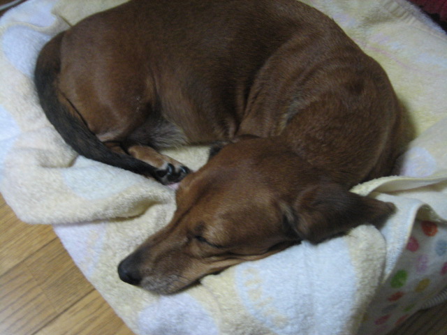 f0181251_21302776.jpg