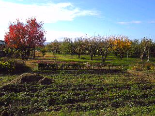 c0123156_2375342.jpg