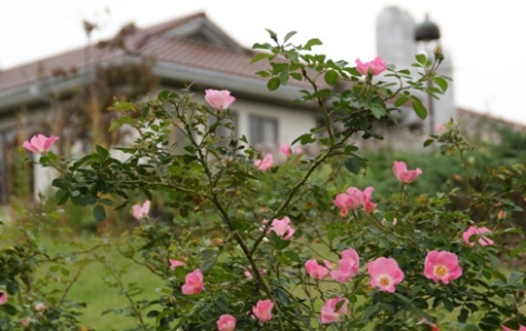 b0138661_2313491.jpg