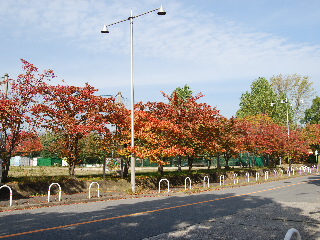d0087062_19304455.jpg