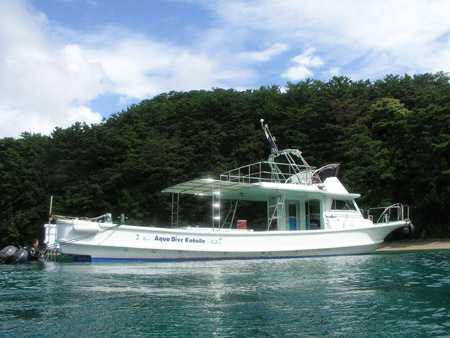 b0062363_7561916.jpg