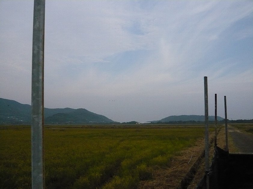 f0037467_2015452.jpg