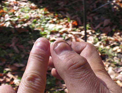 c0122670_05939.jpg