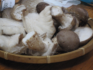 f0082772_2030519.gif