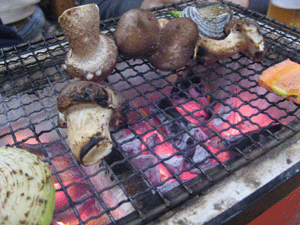 f0082772_20313638.gif