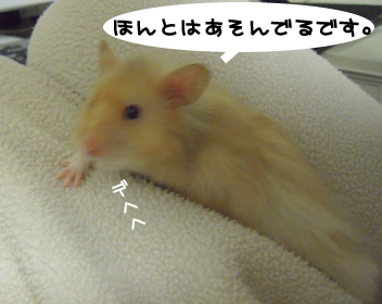 c0160473_1434250.jpg