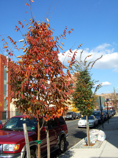 b0131774_959455.jpg