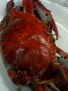 f0140174_2132794.jpg