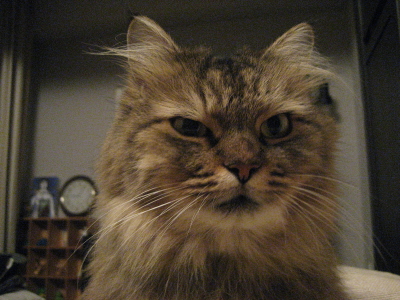 f0183274_23424281.jpg