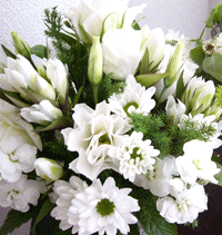 a0007078_1683181.gif