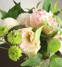 a0007078_168652.gif
