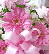 a0007078_169937.gif