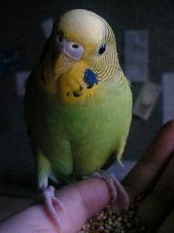 c0026178_2049285.jpg
