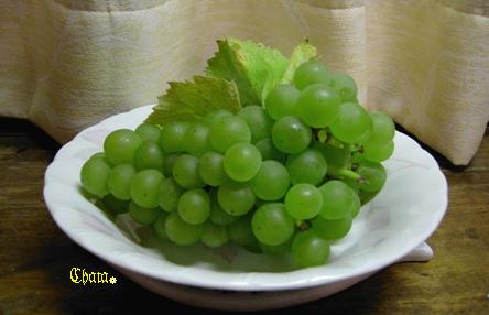 a0091680_12223936.jpg