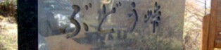 a0091680_1223395.jpg