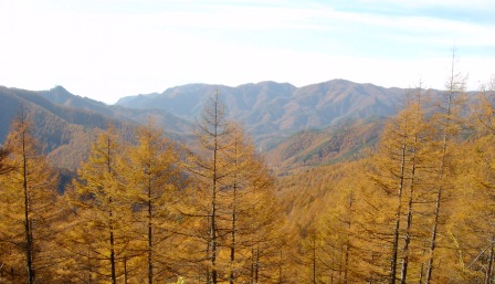 a0091680_12372073.jpg