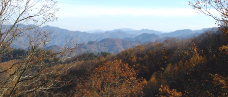 a0091680_12373693.jpg