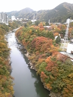 f0014183_1122322.jpg