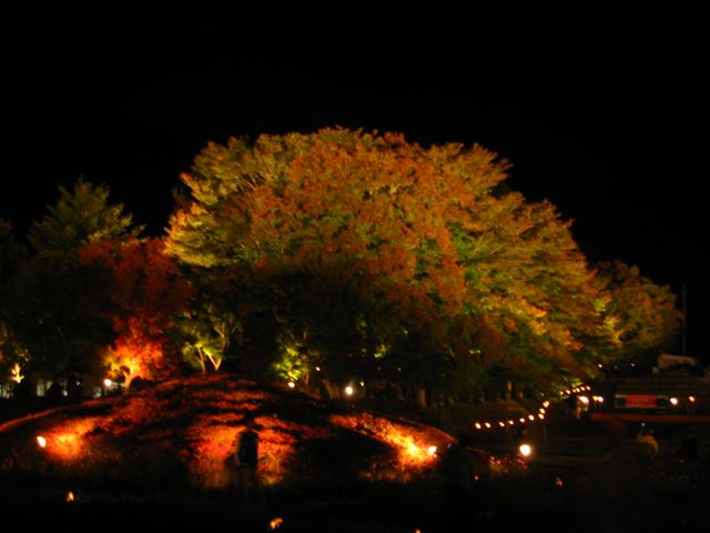 d0143284_23134141.jpg