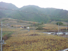 e0033384_0165466.jpg