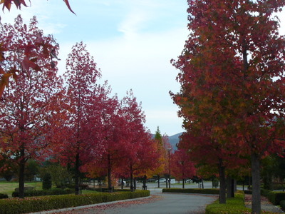 e0026586_13482779.jpg