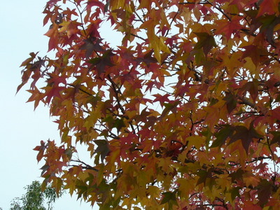 e0026586_13505196.jpg