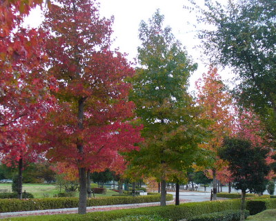 e0026586_13534515.jpg