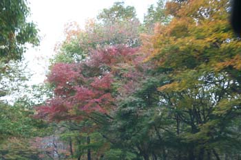 f0088586_19551772.jpg