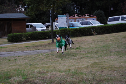c0092787_87185.jpg