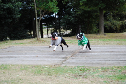 c0092787_89079.jpg