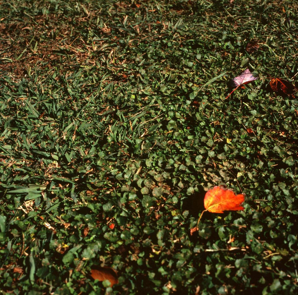 d0145790_145056.jpg