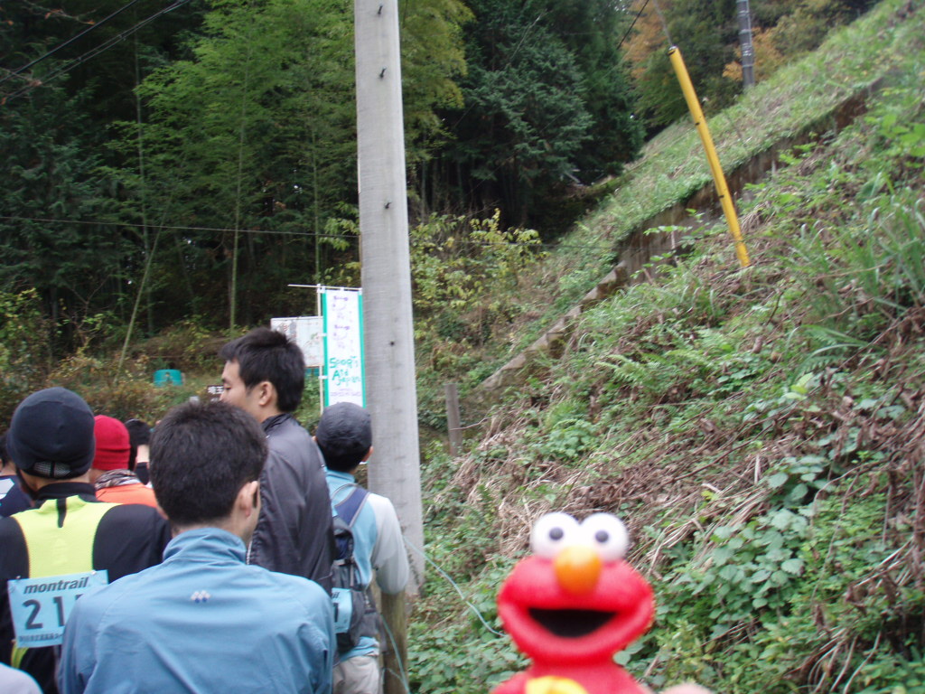 d0034291_22482223.jpg