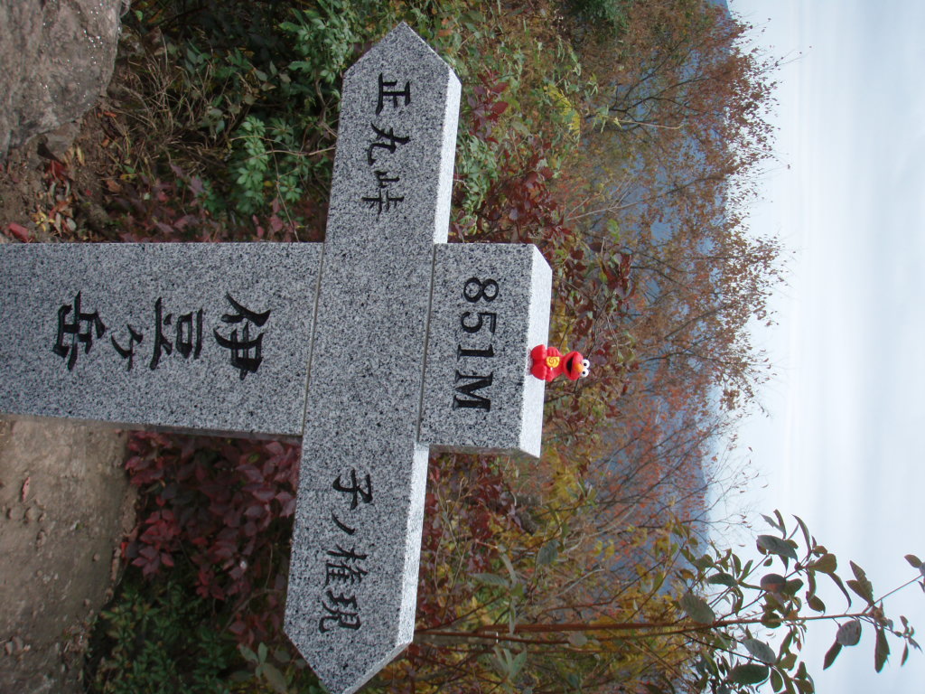 d0034291_22514491.jpg