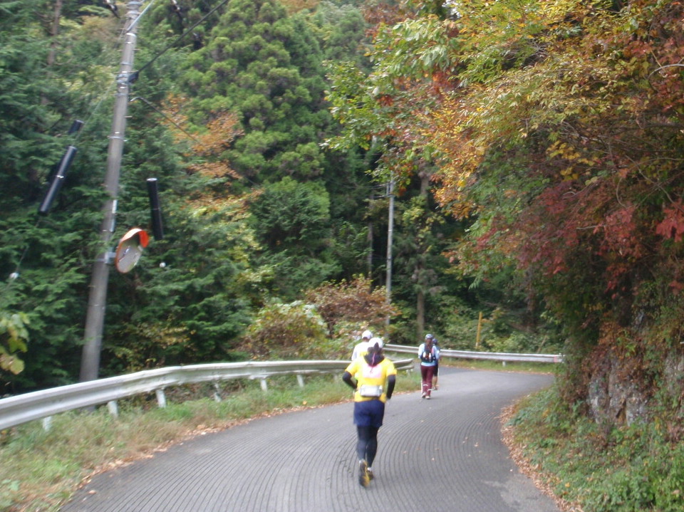 d0034291_2314332.jpg