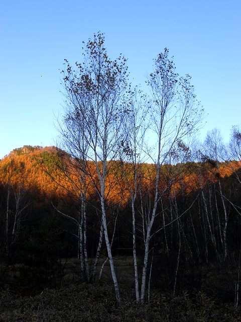 a0093592_2326338.jpg