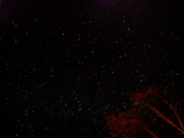 a0093592_2343423.jpg