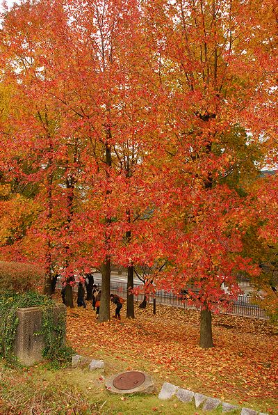 c0066392_2295651.jpg