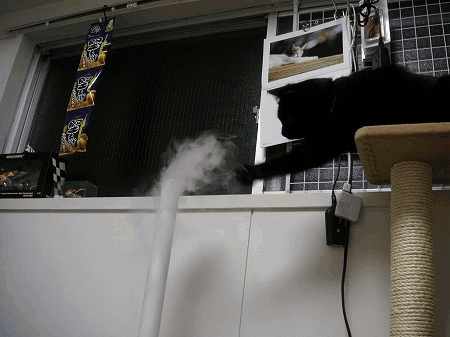 d0057595_1425251.gif