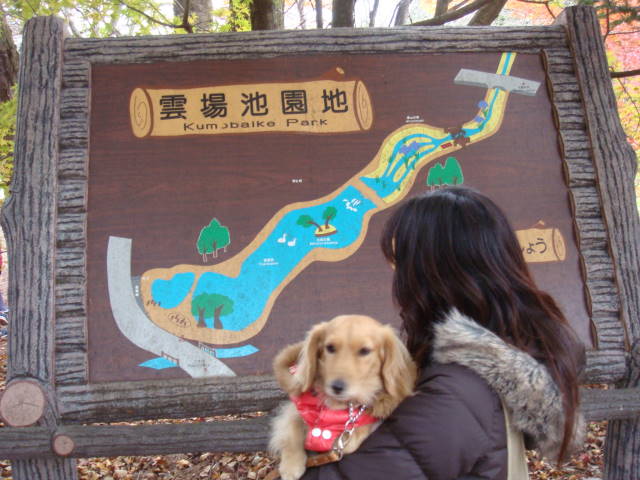 d0098295_23582639.jpg